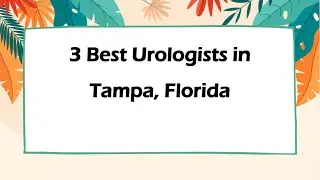 3 Best Urologists in Tampa, Florida | Urinary Specialists