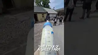 Bottle Cam: Get A POV Experience Of An Irish Sheep Farm | Vagabond Tours Of Ireland