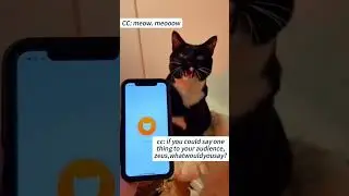 Funny CAT Moments 😂😂 episode 7622 #funnycats #cats #funnyanimals #petsofinstagram