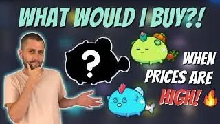 BEST AXIE INFINITY TEAM FOR $1500! | TOP META