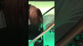 Девичник в спа-салоне Head Spa