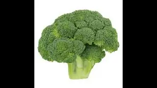 VITAMIN --A (OVERVIEW OF VITAMINS) ABSORPTION, TRANSPORT,METABOLISM,STORAGE #mdnuralamplscr