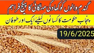Fertilizer prices in pakistan 2025/dap, urea sarsabz, nitrophas fertilizer rate updates