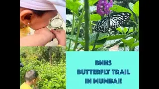 Butterfly Trail in Mumbai!