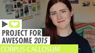 P4A 2015 | National Organization for Disorders of the Corpus Callosum