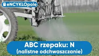 Nalistne zwalczanie CHWASTÓW W RZEPAKU. ABC RZEPAKU