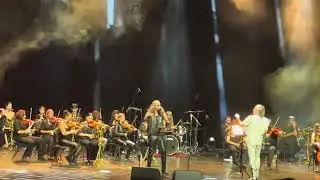 Musa G&ouml;&ccedil;men Senforock - the four horsemen