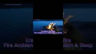 Crackling Campfire Sounds | Cozy Fire Ambience for Relaxation & Sleep