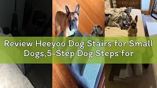 Review Heeyoo Dog Stairs for Small Dogs,5-Step Dog Steps for High Bed and Couch, High-Density Foam P