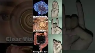 Best mudra #yogafusionpriyanshi ##priyanshidiwakarvlogs #yoga #shorts #youtubeshorts #mudra #yt
