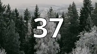 37 Second Countdown Timer With Alarm Sound At the End (Simple Beep)
