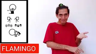 FLAMINGO ANIMAL IN LIBRAS (Brazilian Sign Language)