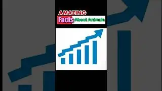 #facts #animals #tj #information #marvelcomics please subcribe #animals #facts #viral #news