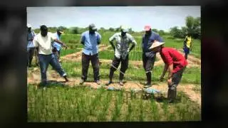 Woodland Pest Control