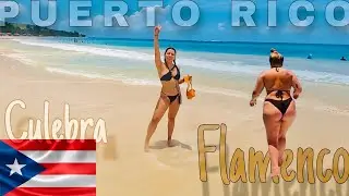 🇵🇷 YOU NEED TO VISIT CULEBRA 😳 Puerto Rico #travel #sanjuan