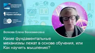 Какие фундаментальные механизмы лежат в основе обучения, илиКак научить мышлению?