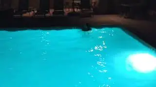 Skinny Dipping Monroe Style (for educational purposes)