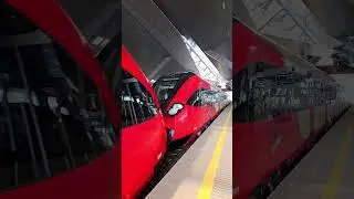 Newag 19WE 004 i 003 z pociągiem SKM S1 Pruszk&oacute;w