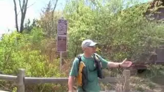 Kayaking the Wareham River