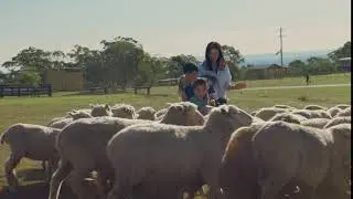Hawkesbury - The River's Just the Beginning - Farm Stays