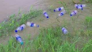 Amazing Bottle Fish Trap | New 2025 Fishing Idea That Will Blow Your Mind | Natural River Setup