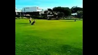 Tee Times Tour Operator