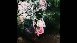 ayerp - hide / slowed /