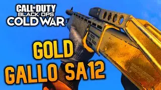 Gold GALLO SA12! Class Setup, Best Attachments, etc. (Black Ops Cold War)
