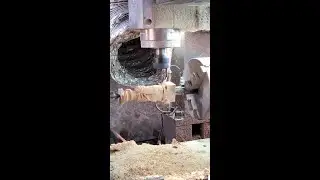 CNC Machines Create AMAZING Wooden Rabbit Sculptures