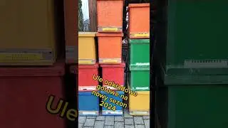 Ule odkładowe przygotowane na nowy sezon #bee #beehive #ul #ule #pasieka #pszczoły #pszczelarz #bees