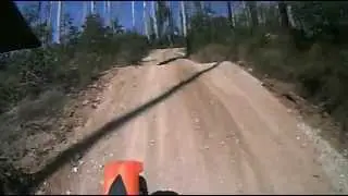 Gentle Annie Track - Ascending - Bunyip State Park