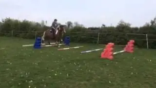 Indiannas way of going over trotting poles