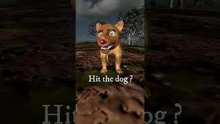 funny cat can apply slingshot ? #slingshot #3d #cat #dog #funnydog #3danimation #vfx  #shorts