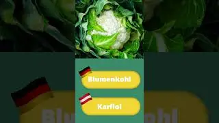 6 differences between German in 🇦🇹 and 🇩🇪 *vocab*