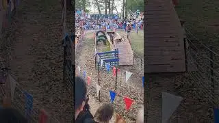The pig races 🏁 #race #pig #weekend #p6