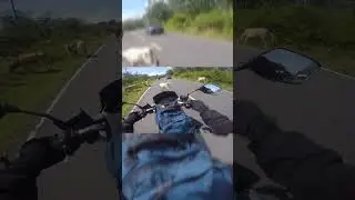 kejadian unik di jalan #touring  #motovlog  #pangandaran
