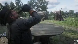 Quiet camp life | RDR2