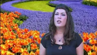 The PC Hub TV Spot with Music