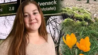 Історична спадщина 🇩🇪 1000-літній парк Івенака (Ivenack Eichen)