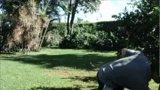 archerych - bowtuning - bare-bow.mpg