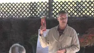 Bonsai Workshop -Part 3 - Wingard's TV