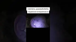 Санбой поет на неизвестном языке #санбой #пророксанбой #sunboy #санбойтв