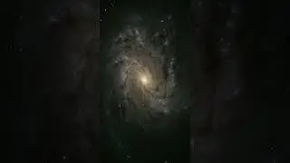 ✨ M83: The Southern Pinwheel Galaxy ✨