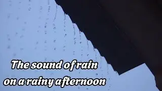 Cozy Rainy Afternoon 🌧️ Rain Sounds for Deep Sleep & Mental Focus | White Noise
