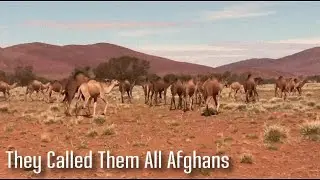 They Called Them All Afghans