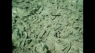 2003 02 Milan  Daily Use Alternative to Soil Cover Material