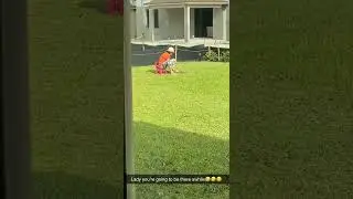 Eco friendly grass cutting #lawncare  #onlyinflorida #grass #lawn