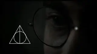 Harry Potter - The chosen one