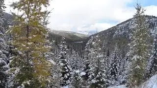 Marshall Creek Hike Oct  2017