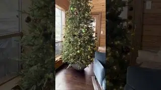 DIY Christmas tree planter pot ✨🎄#christmas #christmastrees #christmastree #christmasdecor